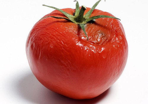 Rotten Tomatoes: Your Ultimate Source for Movie Reviews and Ratings